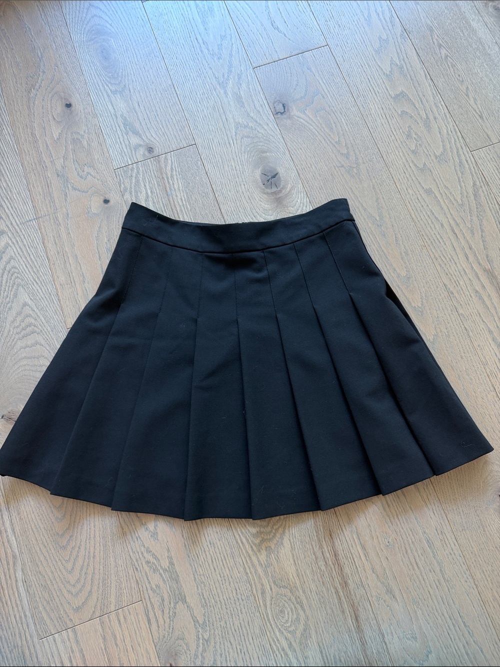Aritzia Sunday Best Black Pleated Mini Skirt